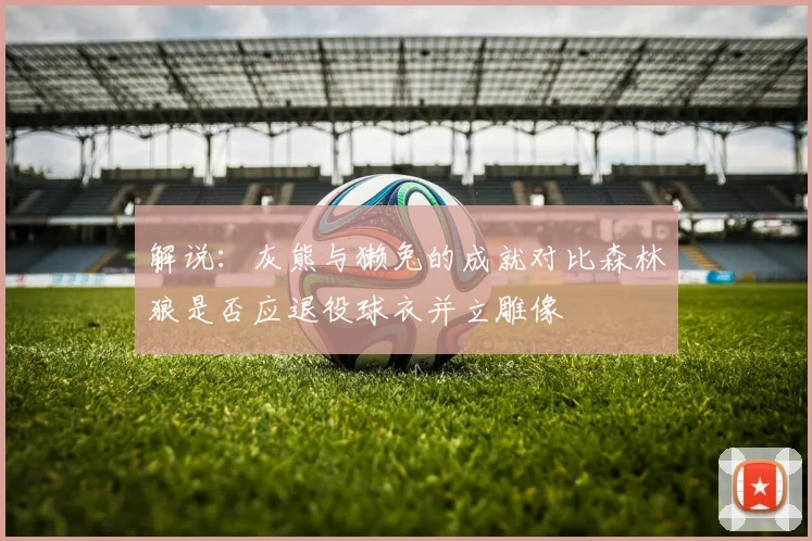 解说：灰熊与獭兔的成就对比森林狼是否应退役球衣并立雕像