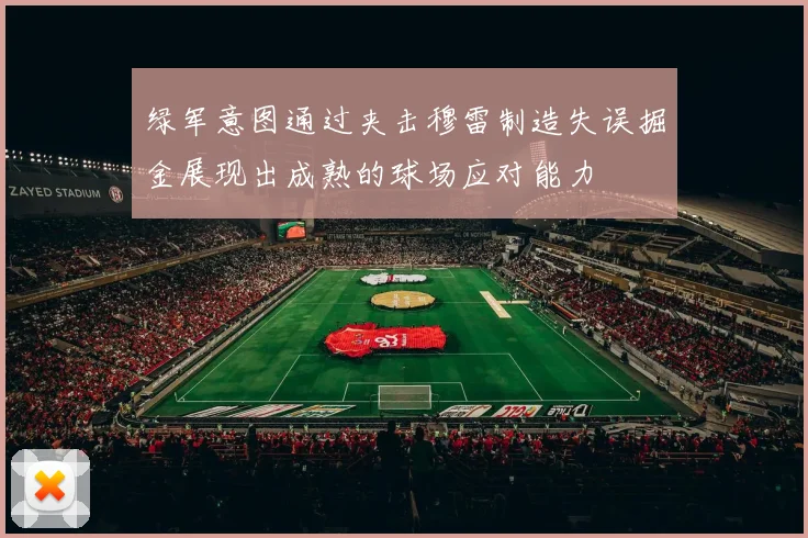 绿军意图通过夹击穆雷制造失误掘金展现出成熟的球场应对能力